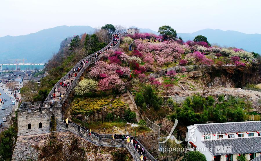 浙江临海:登长城赏梅花