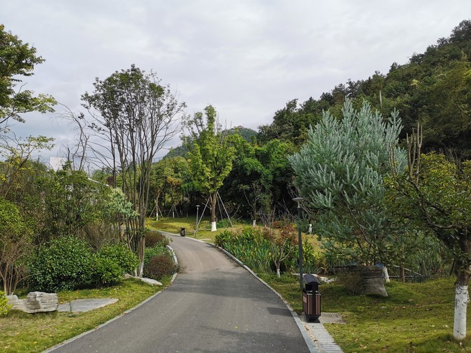 遵义莲花山公园:山体公园,城市花海
