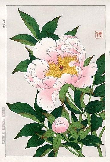 春暖花開綠植嬉,繁花盛開百花笑~工筆畫作品繪畫,百花爭豔的