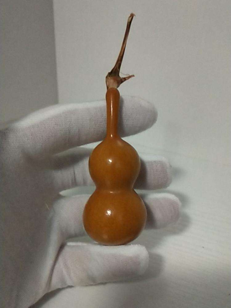 玩手捻葫芦最重要的不是包浆,而是挂瓷儿,文玩葫芦如何挂瓷儿?