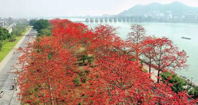 广东潮州民宿.木棉公馆-民国时期法国人四层洋楼别墅的涅槃重生!