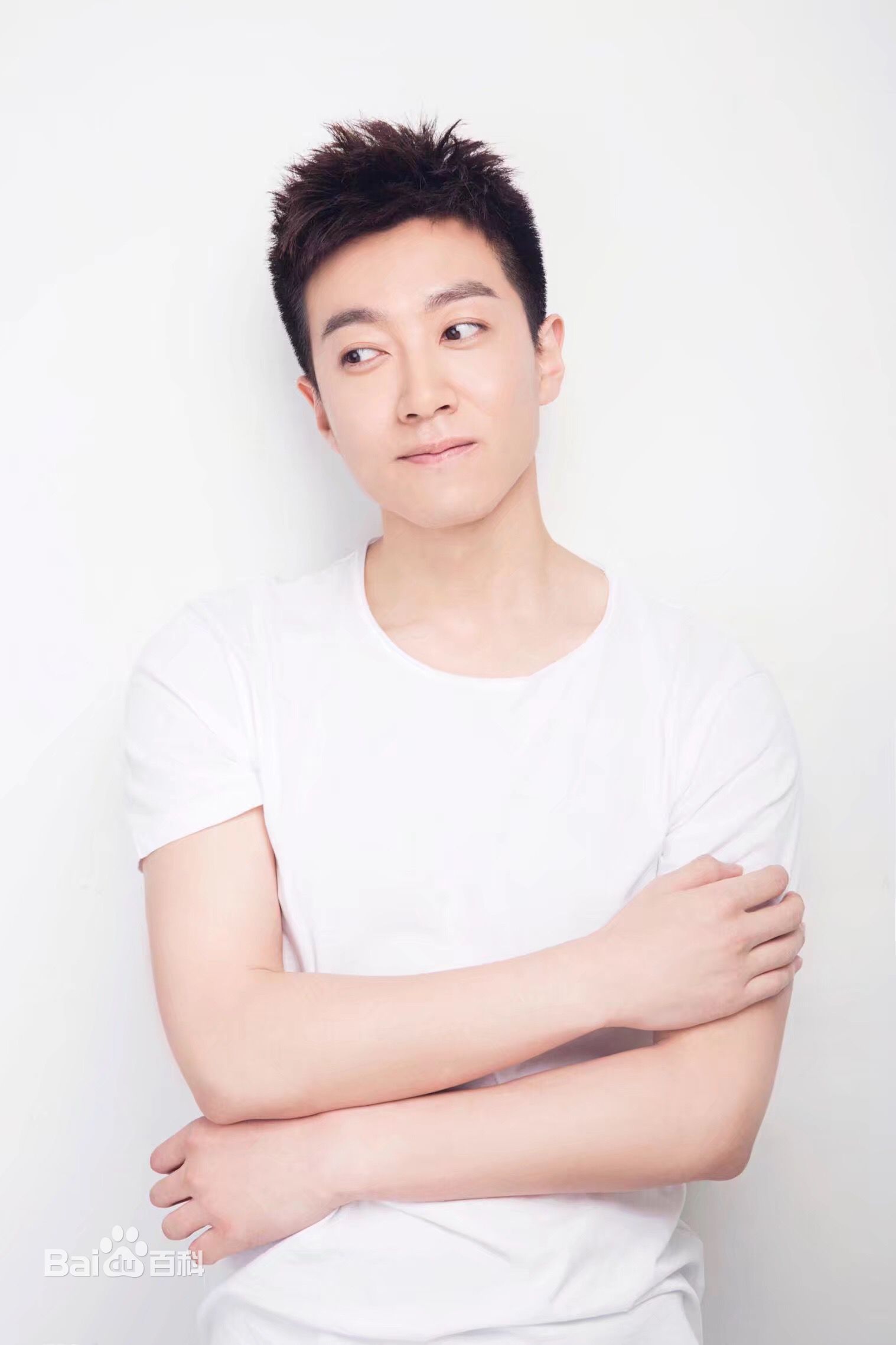 来自河南安阳的5位明星