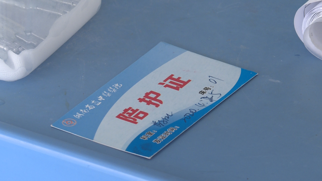 北京大学口腔医院检查陪护加挂号长期就医专属管家，全程跟进不脱节的简单介绍