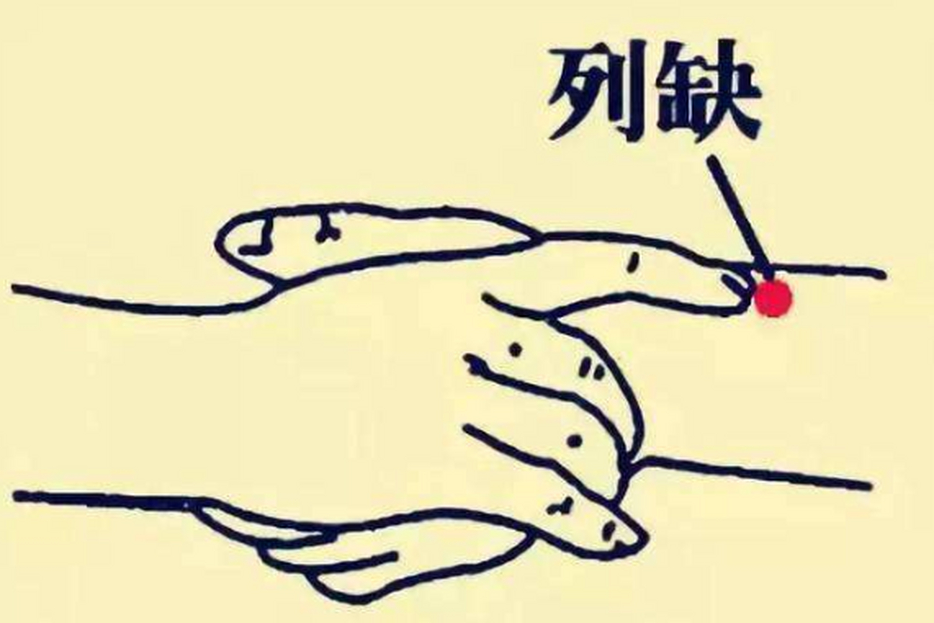 【脖子以上的病,多按按这个穴位】  "列缺穴",位于手腕内侧(大拇指侧