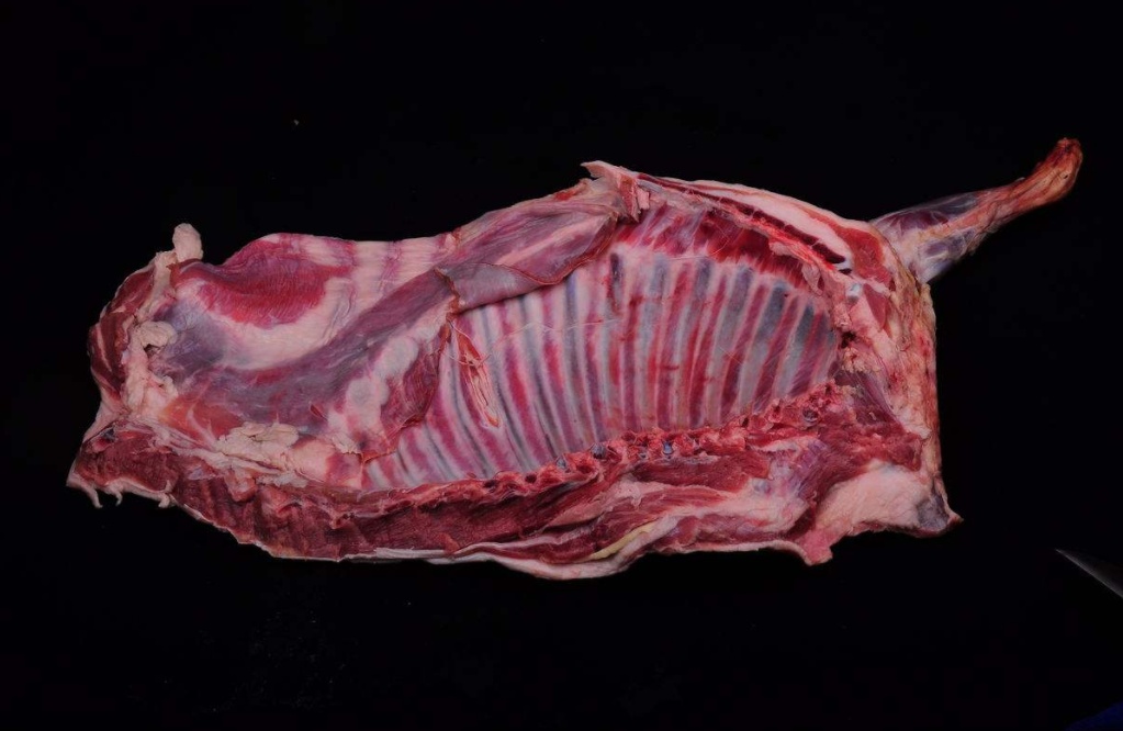 猪肉- 热门商品专区