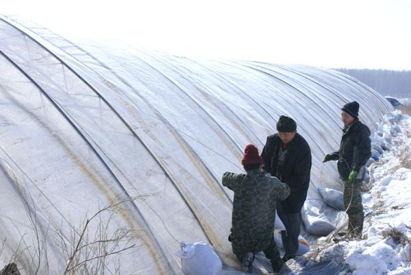 温室大棚种植蔬菜,遇到寒潮来袭,霜雪的气候,怎么办?