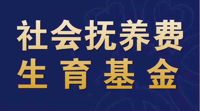 从社会抚养费到生育基金