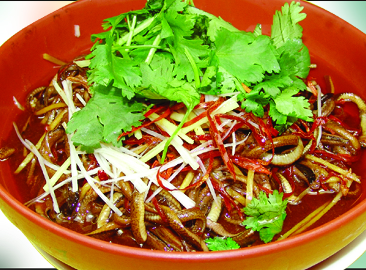 六道家常菜推荐:麻辣鳝丝,榄菜肉沫四季豆,酒香牛肉