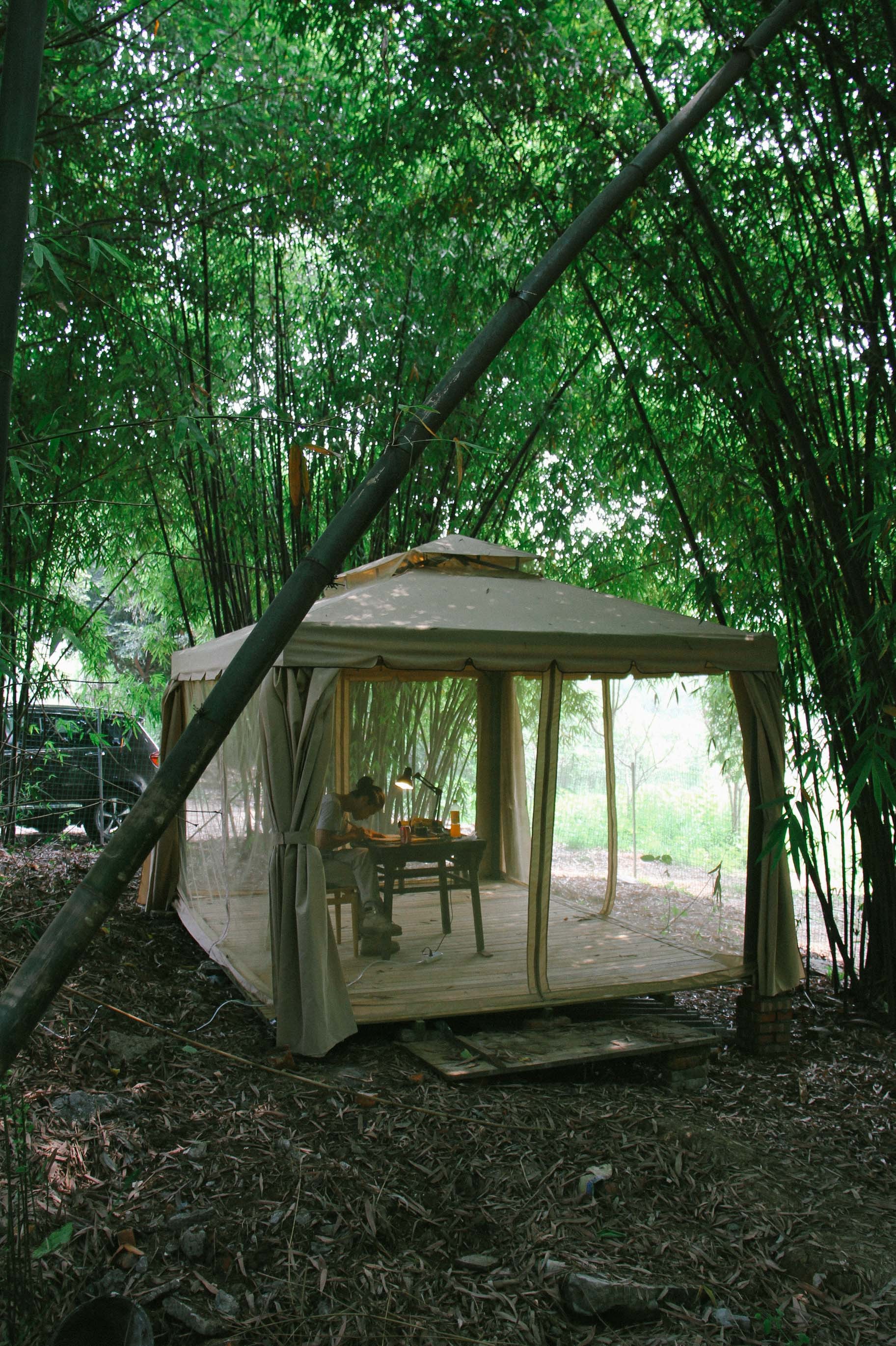 别羡慕李子柒家的后院了,给你一处田园房,你也可以