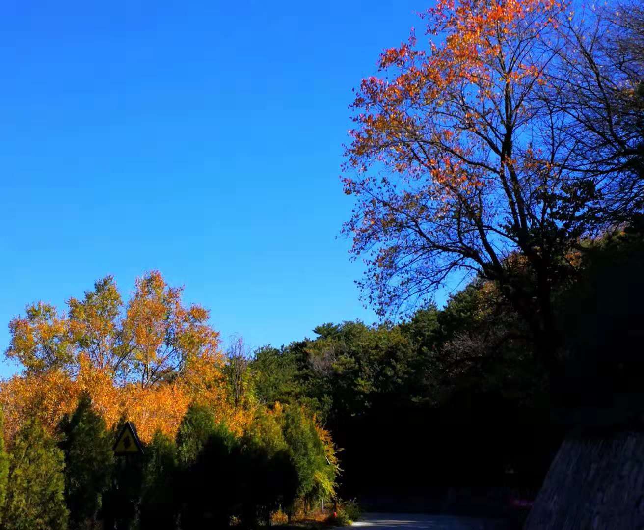 霜天万里,寒烟寥廓,绚烂的树叶即将飘落,它们开始一片一片敲打着冬天