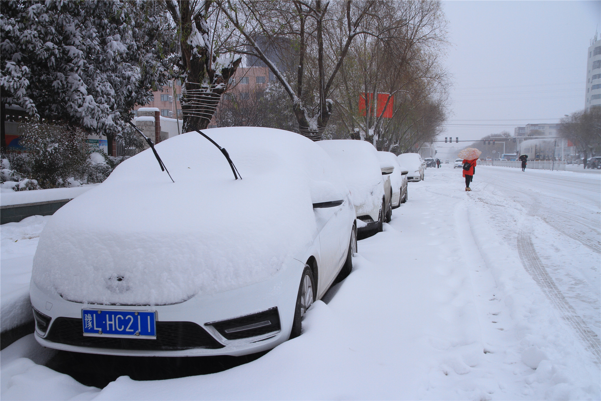 雪后穿上银装的漯河雪景,好多年没有下过这么大的雪了