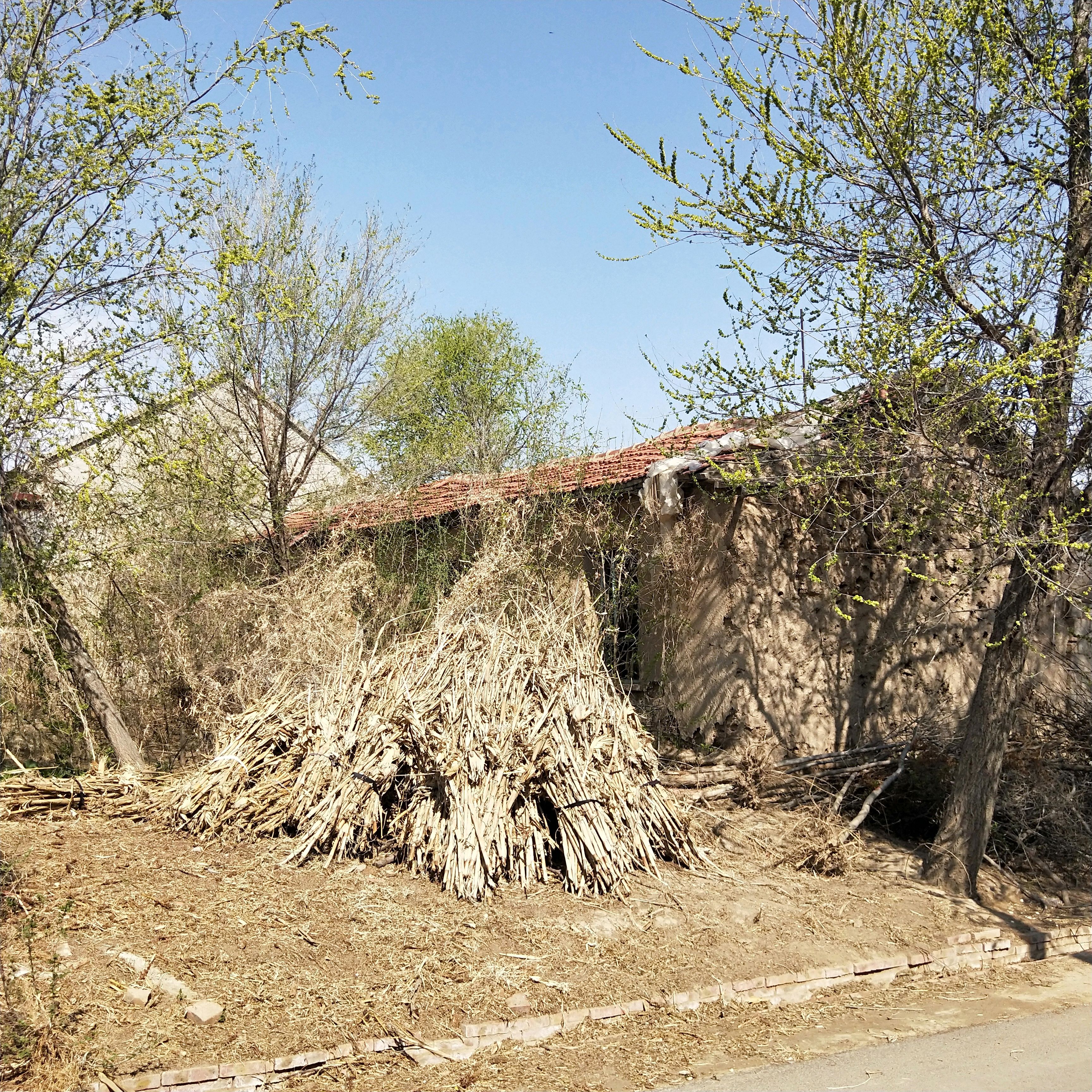 农村土胚房80后都住过,网友:冬暖夏凉