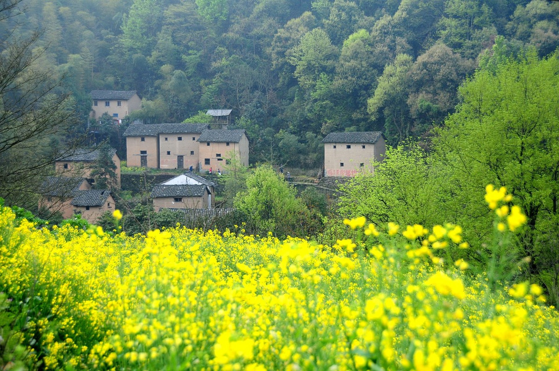 化着春泥来养春 你一程,我一程 躺在钟表的指针上 年华似水无痕