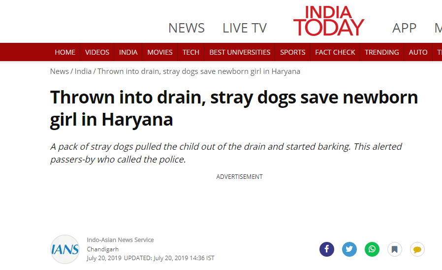 新生婴儿惨遭母亲遗弃，流浪狗从下水道救回一命！身上还包着塑料