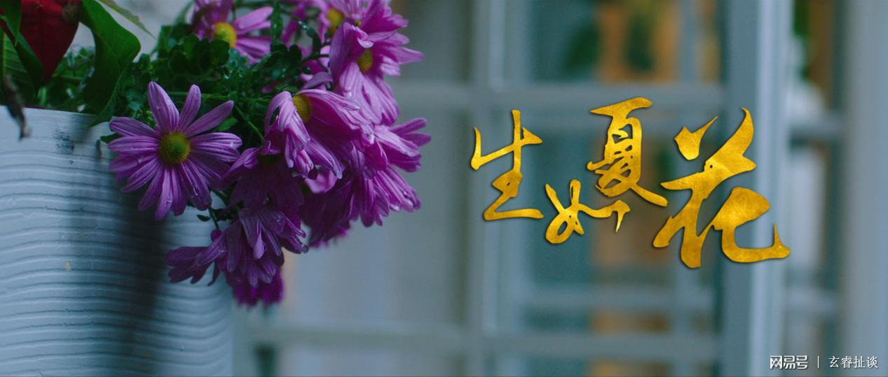 朴树都喜欢这电影《生如夏花》上映大火