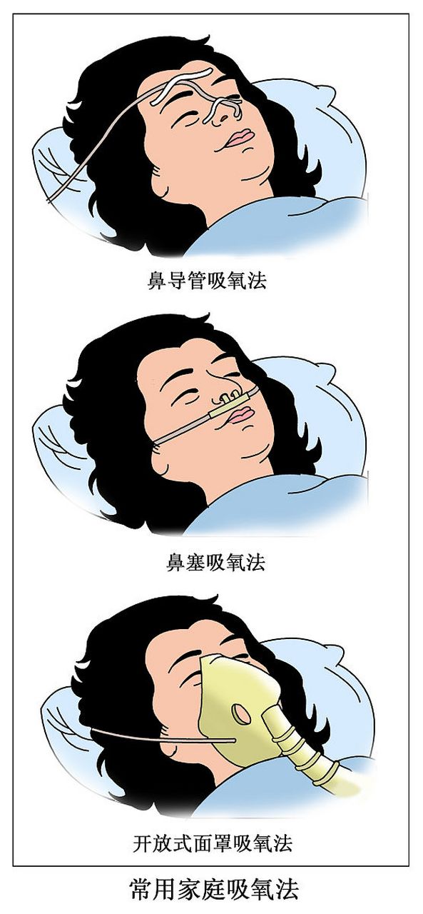 老年人失眠,其故何也?