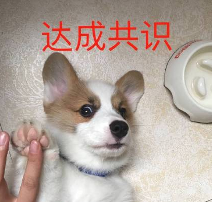 斗图常用的沙雕狗子表情包