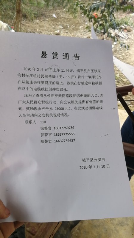 镇平县卢医镇悬赏通告