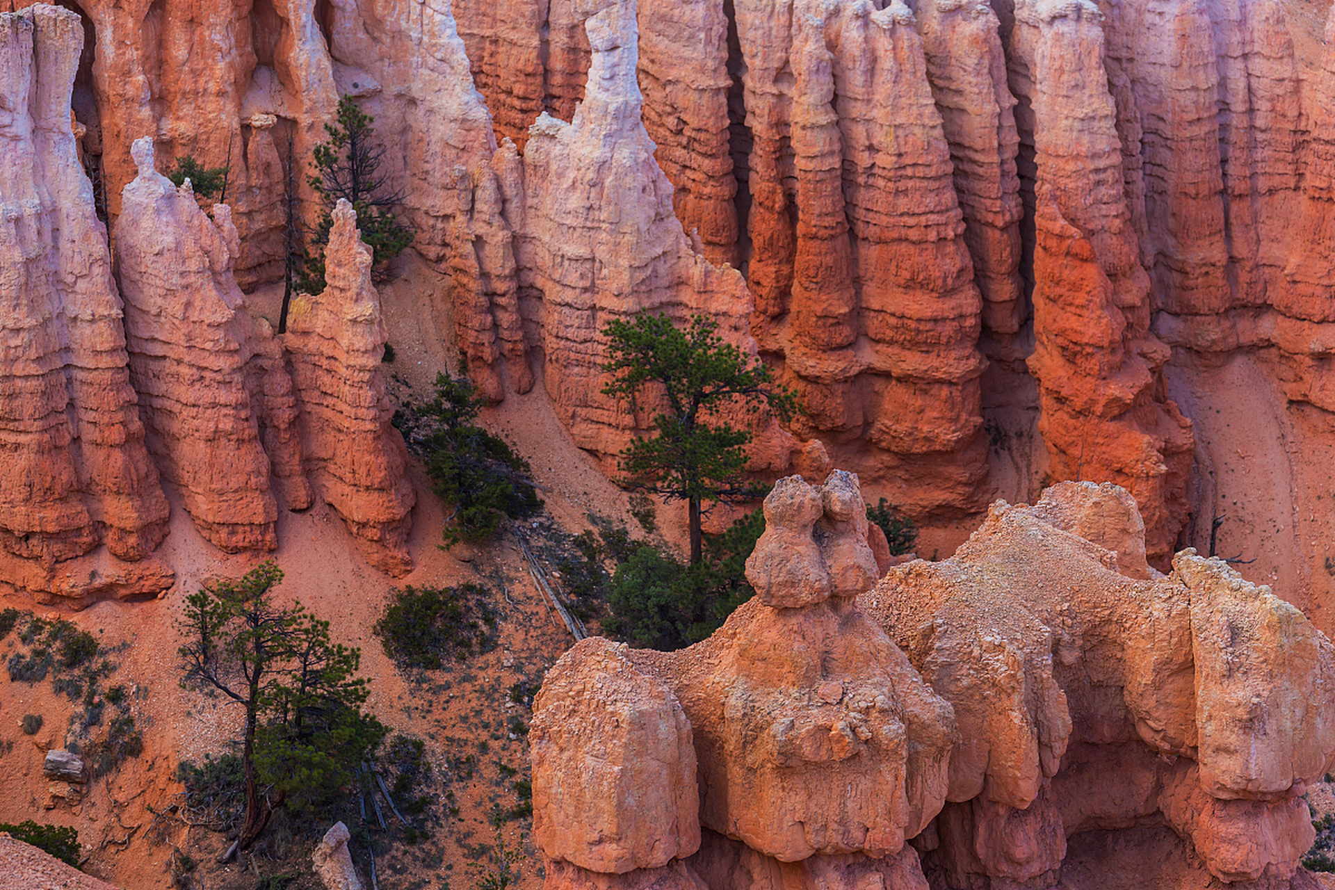 河南郑州新密市有个超级震撼的地方叫红石林景区,这可是一处集自然