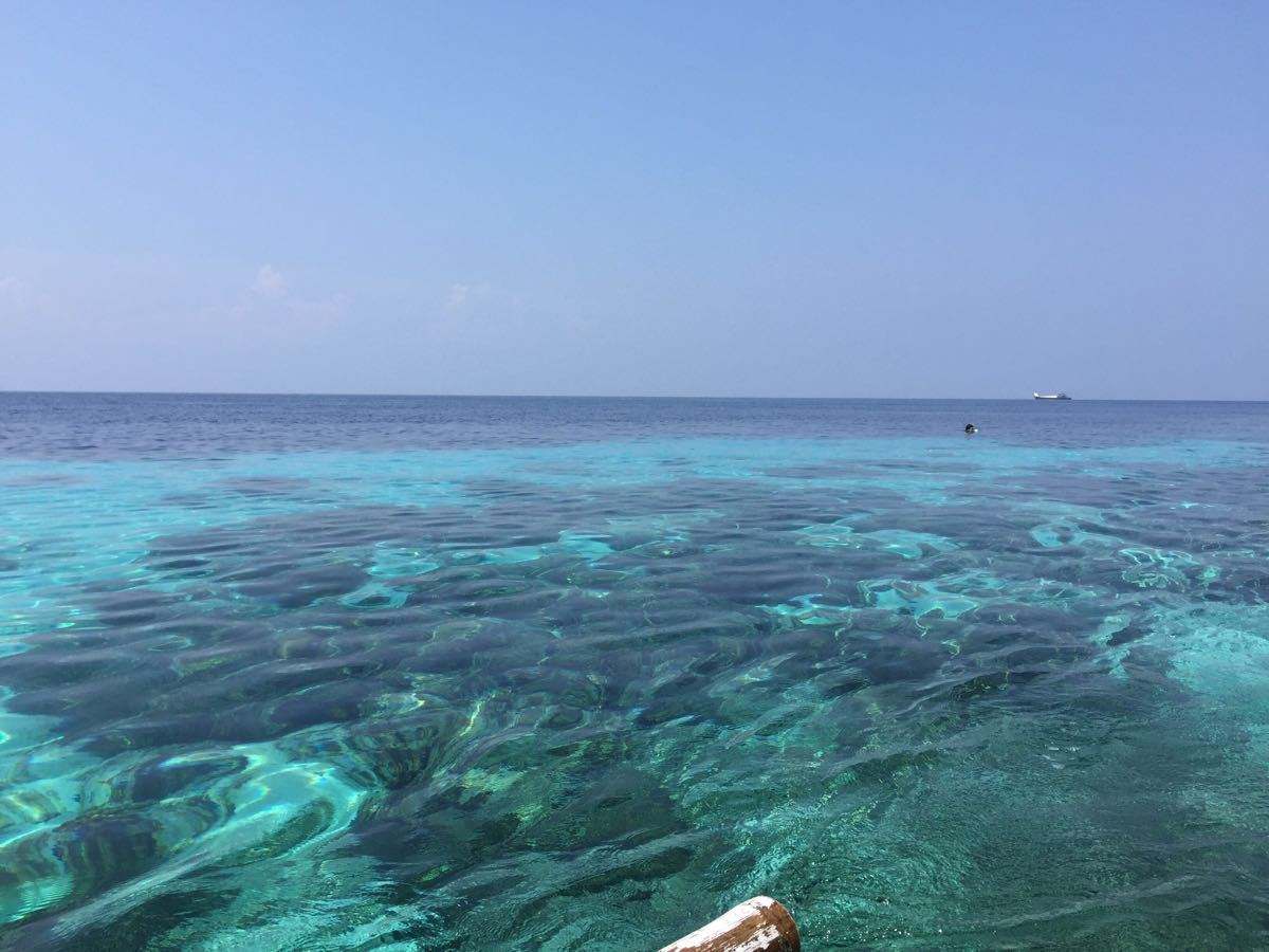 菲律宾巴里卡萨岛,最美的潜水之旅,这样的海龟真可爱!