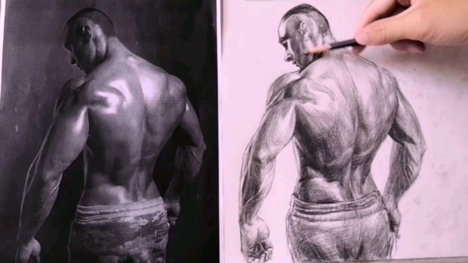 五一宅家画画,人体背部肌肉素描结构图