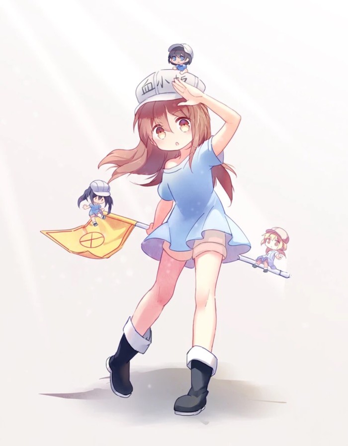 血小板美图:雨是风的痕迹,风是雨的信息,彩虹是则风雨后的美丽