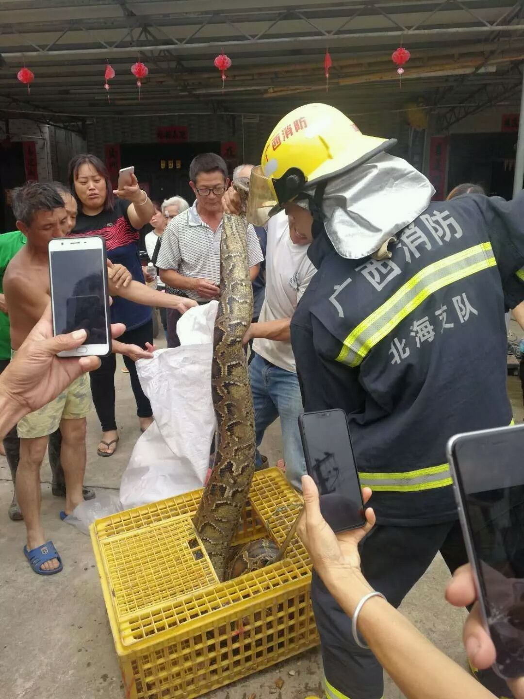 广西近期发生多起蛇进家事件