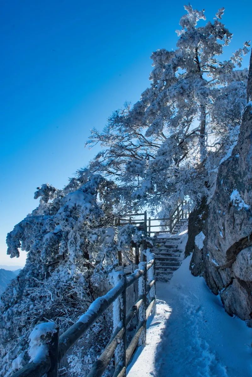 零下二十度的冷酷仙境,意想不到的遇见那么美!随罗景尧镜头游老君山