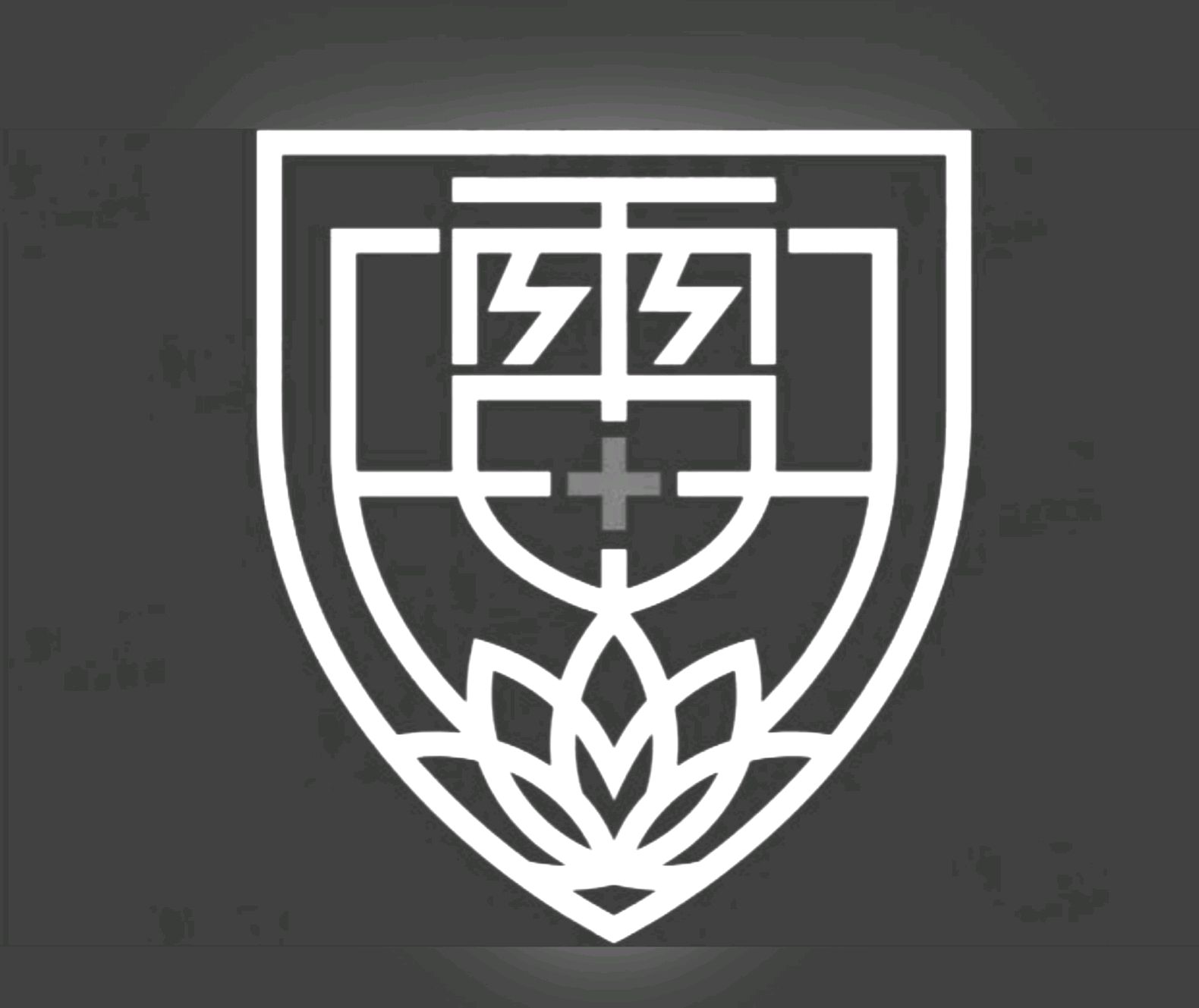 雷神山医院图标最正确的释义