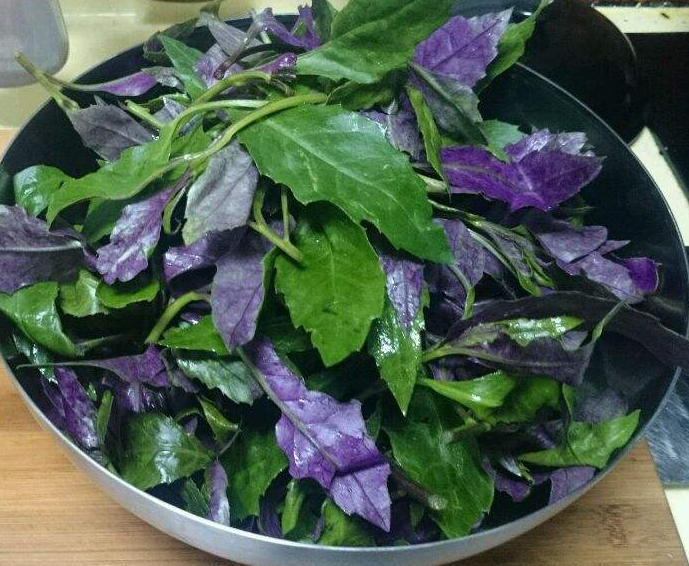 美食:紫背菜,凉血止血清热消肿,鲜嫩可口独具风味!