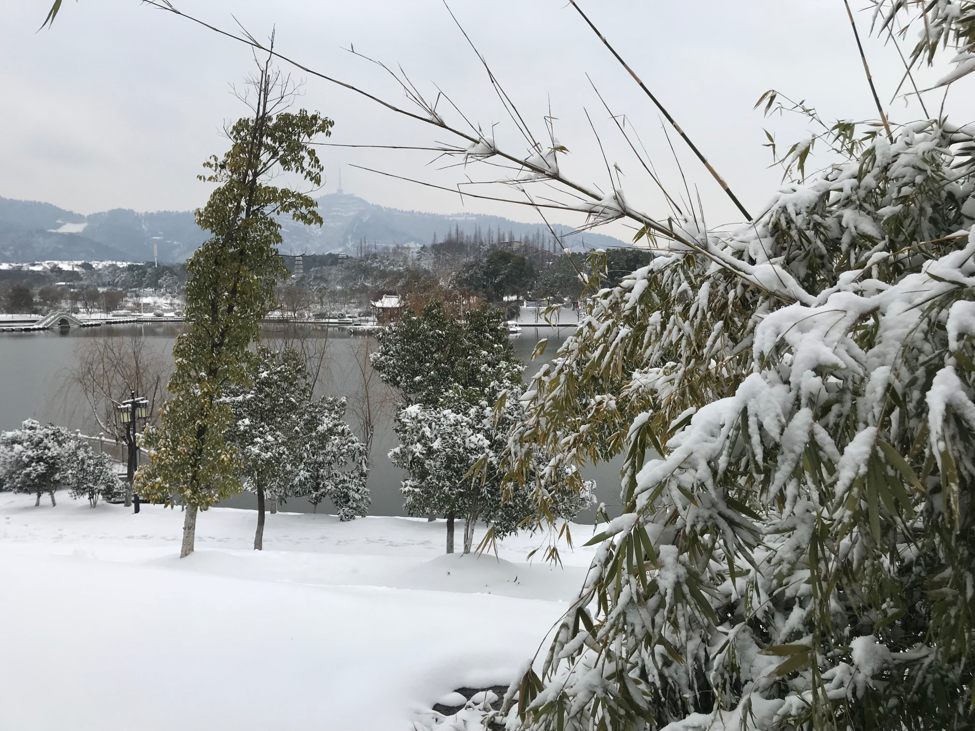 南方城市怕下雪,北方城市怕下雨,看完敬亭山的雪你就明白了