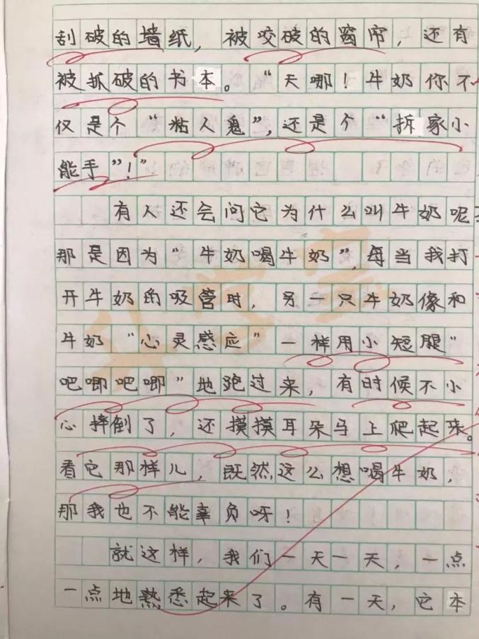 作文评语每次平均10000字,杭州一小学老师坚持26年