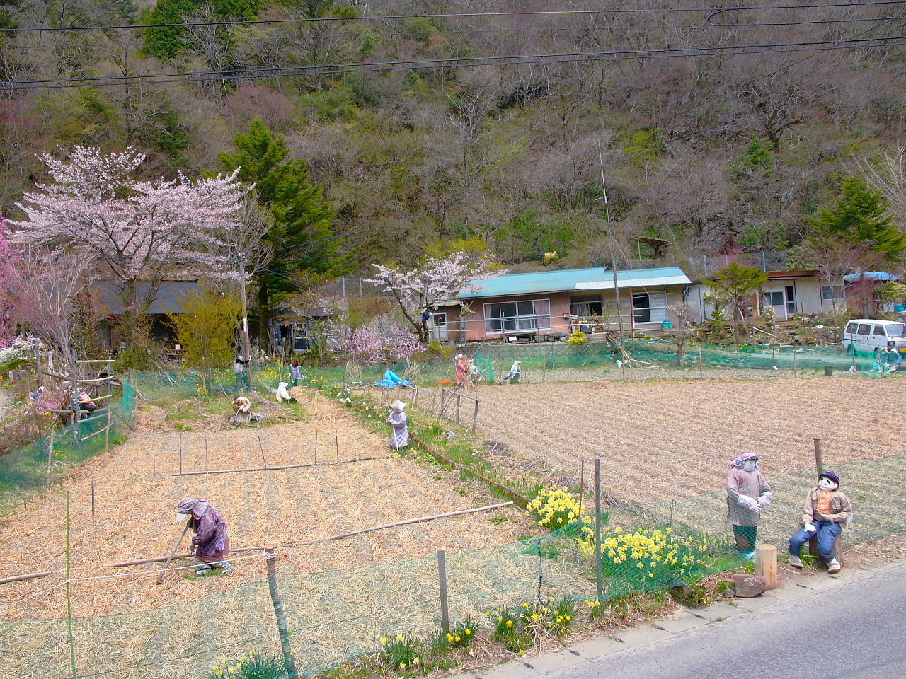 日本最特殊的乡村,只有一位老奶奶能正常行动,其他"人"很怪异