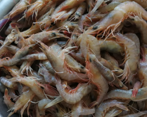 两天左右时间,鹰爪虾就完全晒干了.去壳的方法有两种.