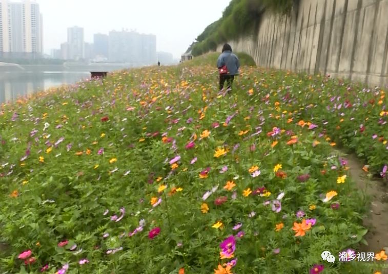 涟水百花园图片