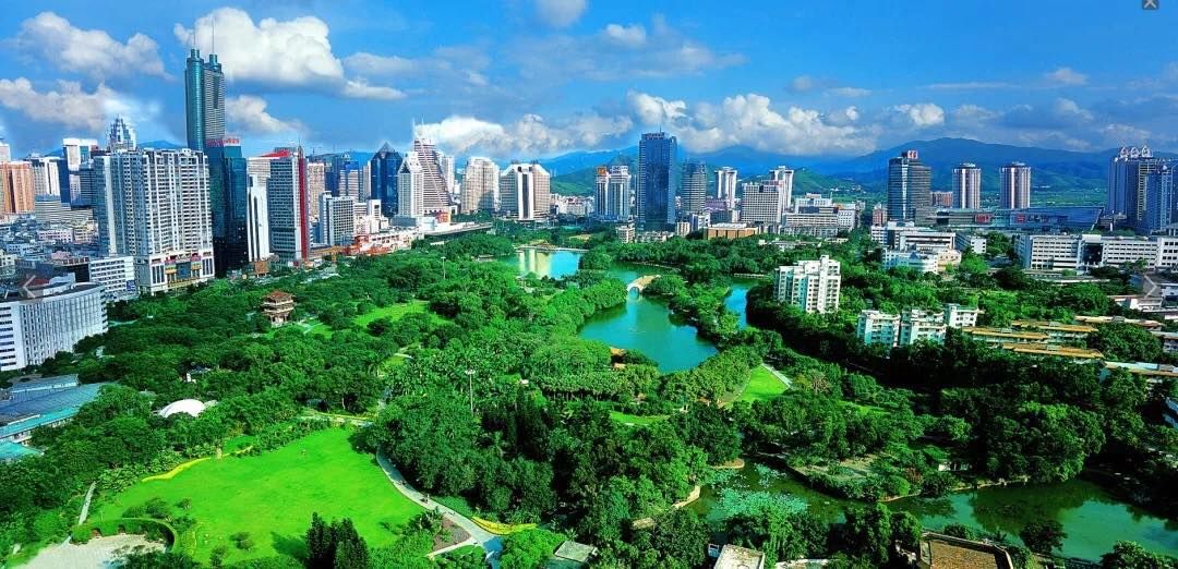 高标准重塑城市森林生态基底