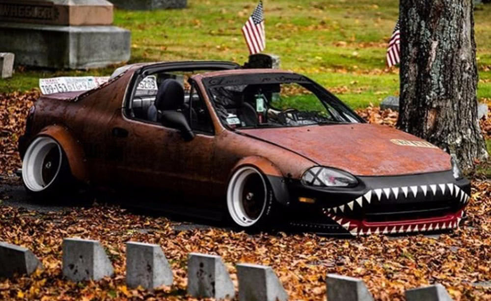 虽然长着两排吓人的獠牙,但是看上去莫名觉得有点萌萌哒