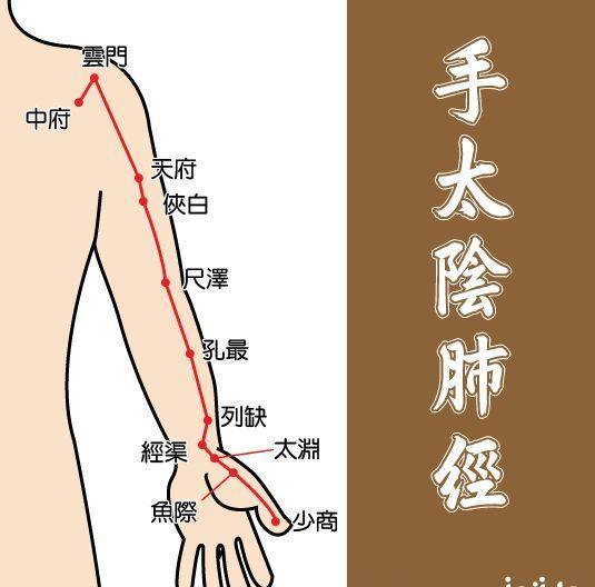 肺不好,养肺就要敲肺经,每天5分钟,通经络,补肺气,养肺经!