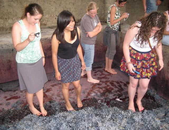 这款世界顶级红酒,主要制作过程竟是少女用脚踩!看完你还敢喝?