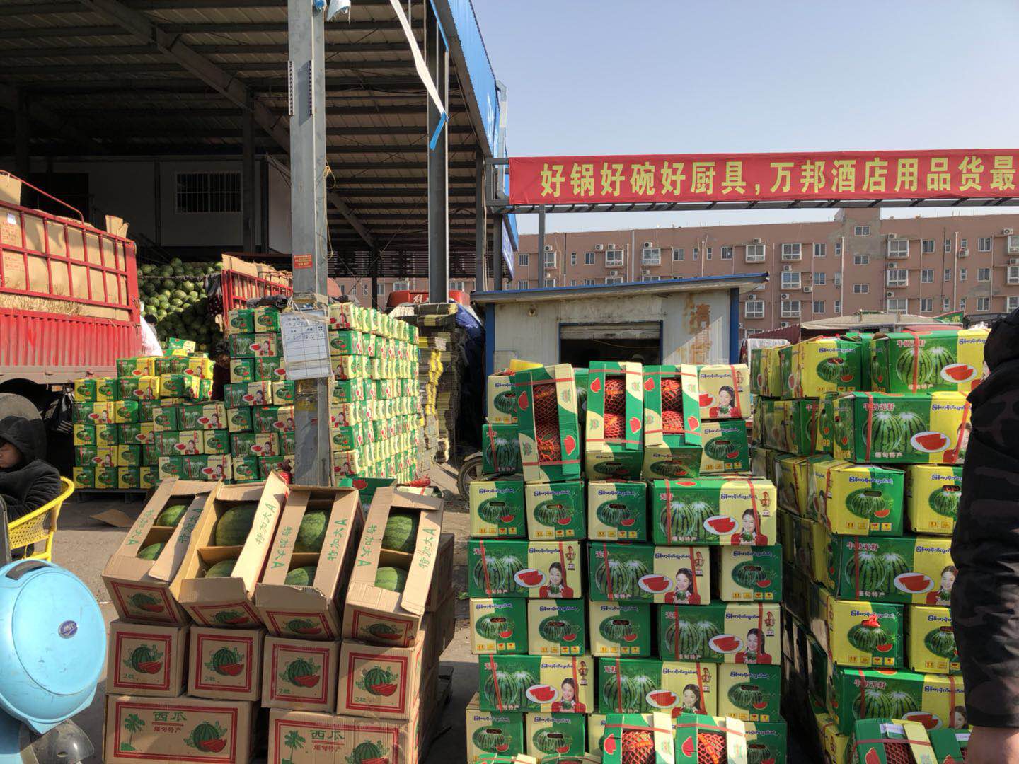 走进郑州万邦,最大的水果批发市场,东西远比市场价要便宜