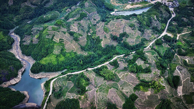 论明朝后期,南洋华侨华人在中国南洋贸易,占据的地位和作用