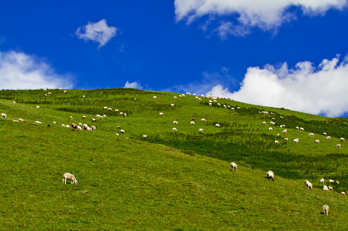 win7终被遗弃:微软将1年后停止支持win7,个人用户无法获得补丁