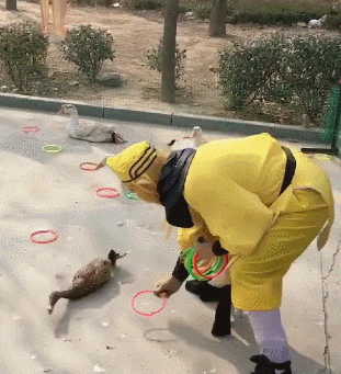 311_341gif 动态图 动图