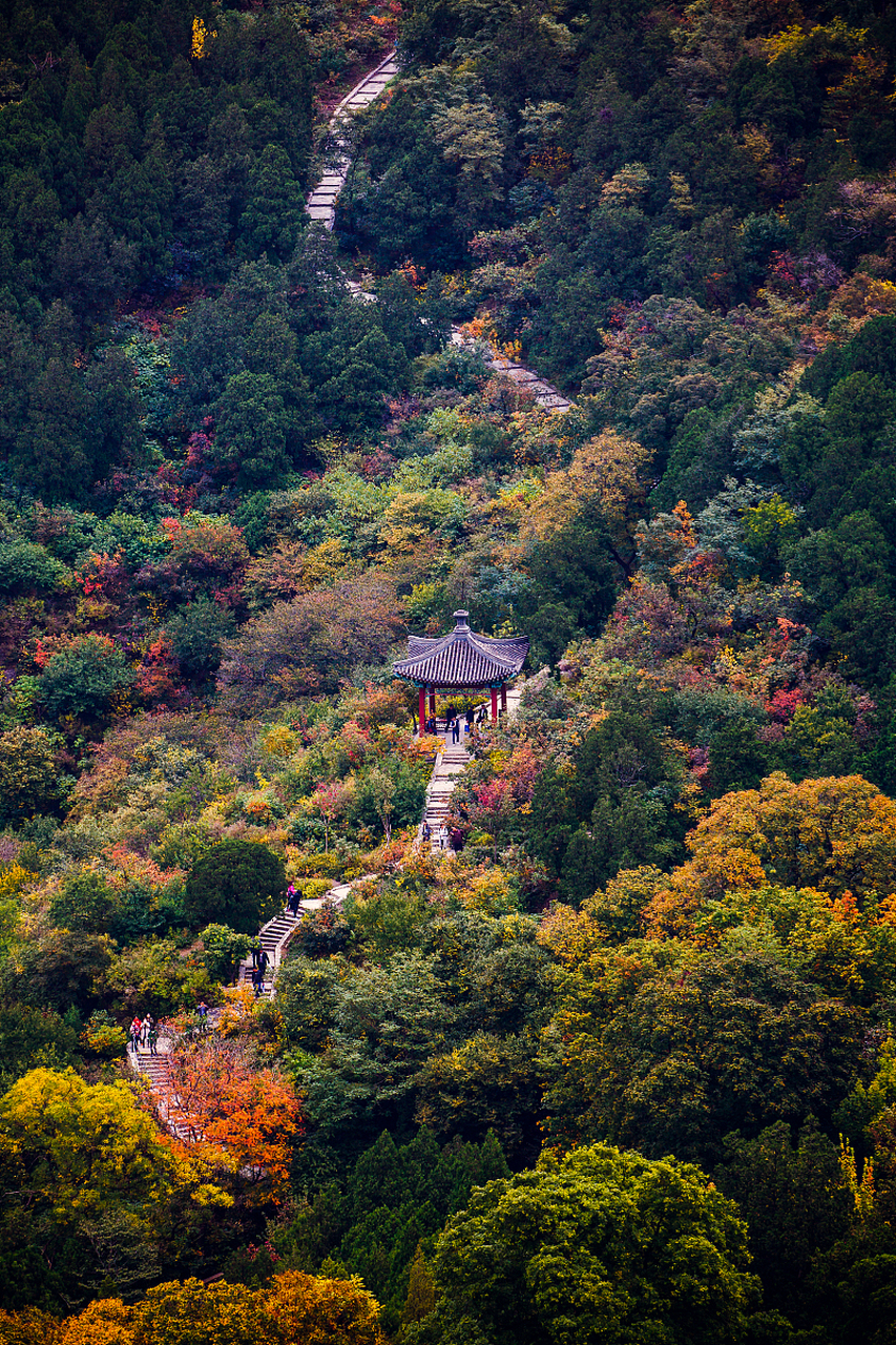 骊山森林公园景区图片