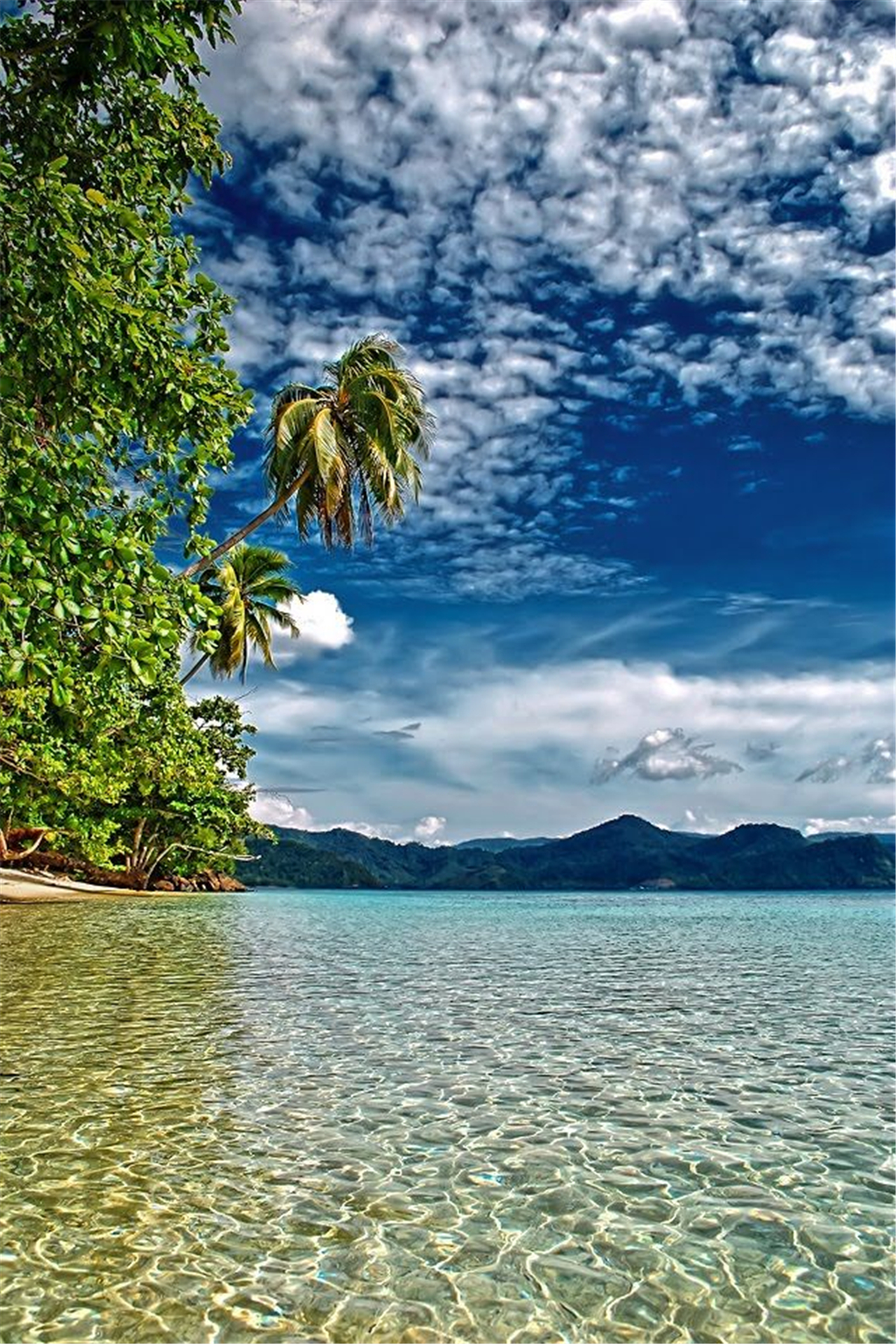 巴布新几内亚的美丽的海岸,清澈的海水