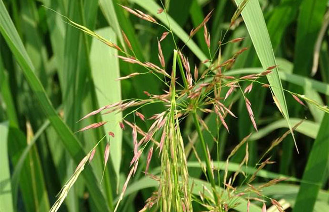 铁钉- 热门商品专区