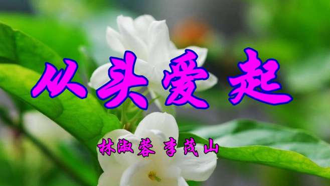 [图]经典老歌，林淑蓉 李茂山对唱《从头爱起》好听至极