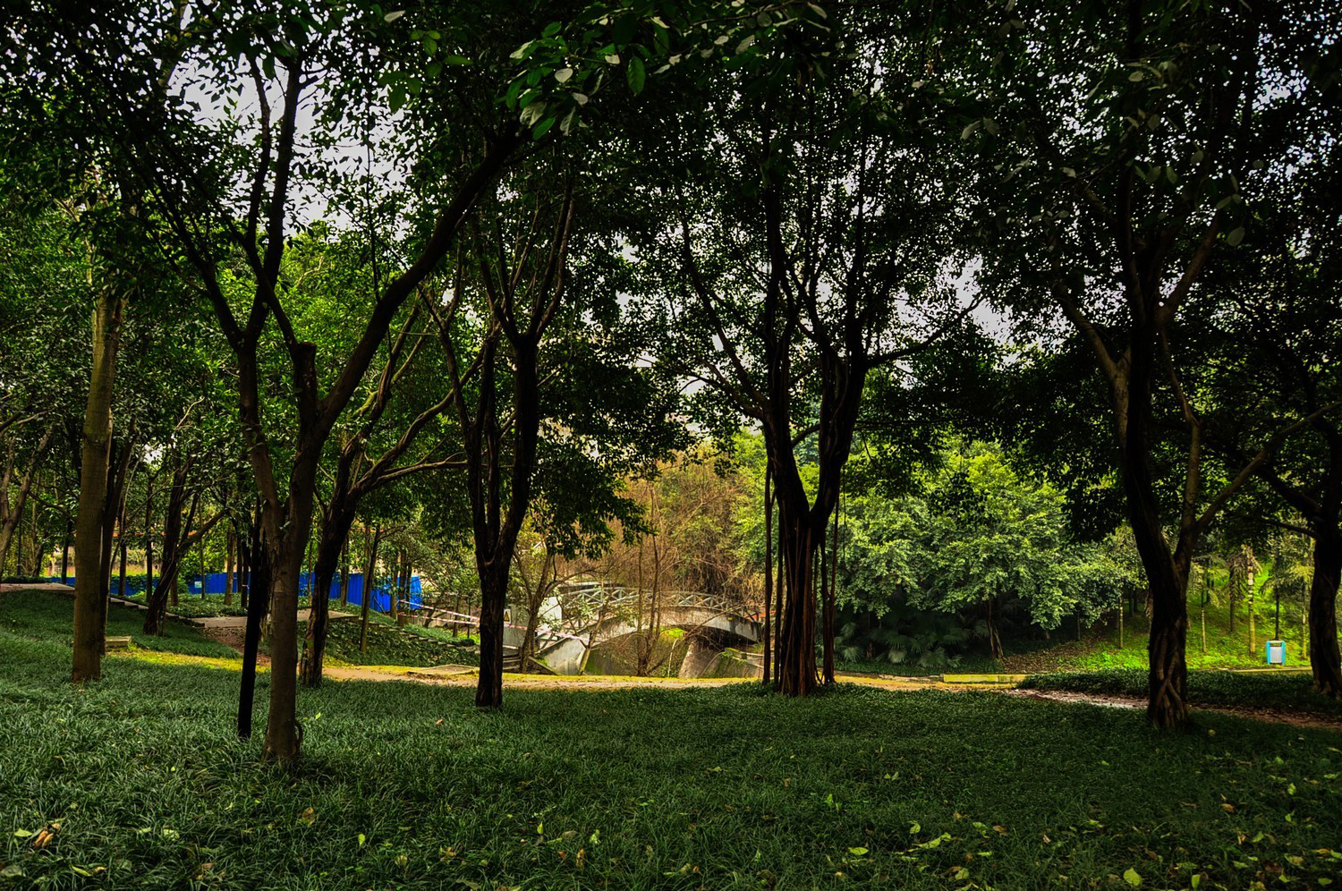 重庆景点:龙湖动步公园