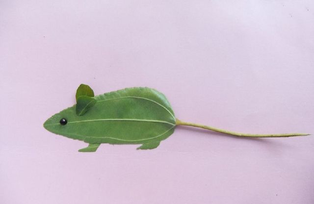 动动手动动脑,让树叶瞬间变成十二生肖萌动物,留住秋叶的美与趣