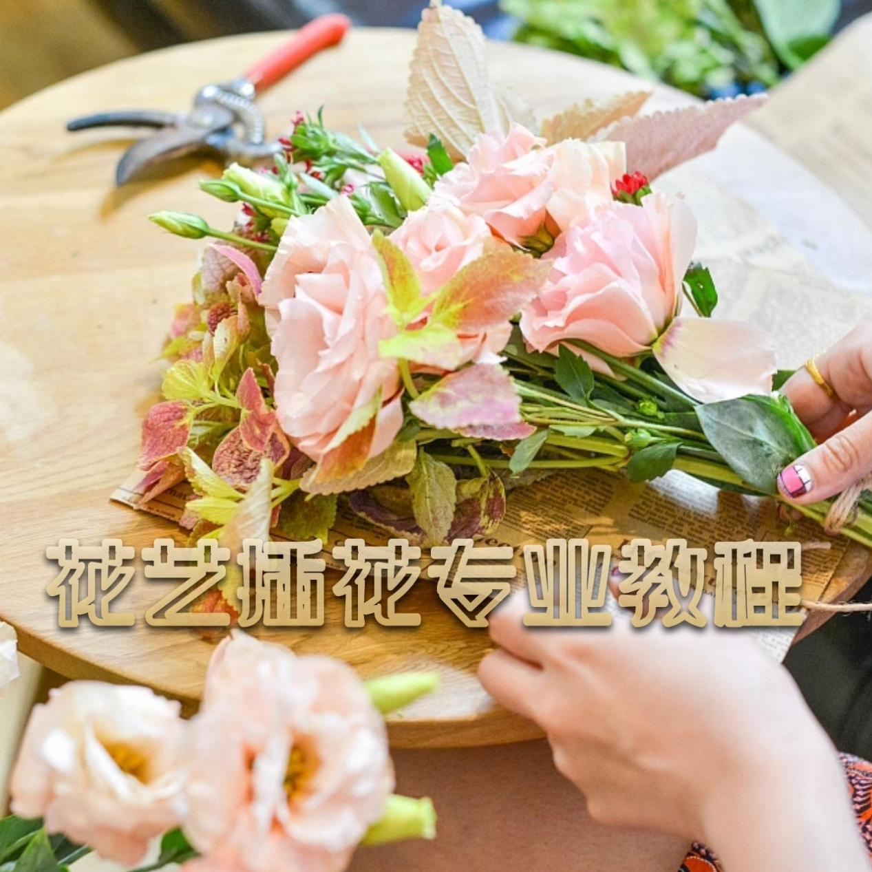 宿根花卉 百度百科